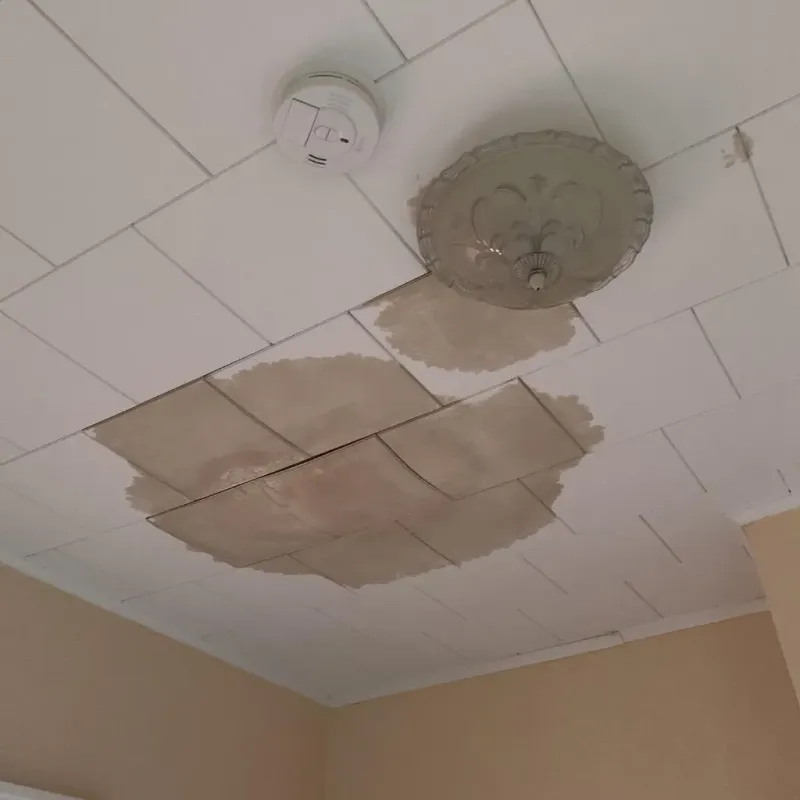 Ceiling Water Damage Repair in Jefferson County, OH
