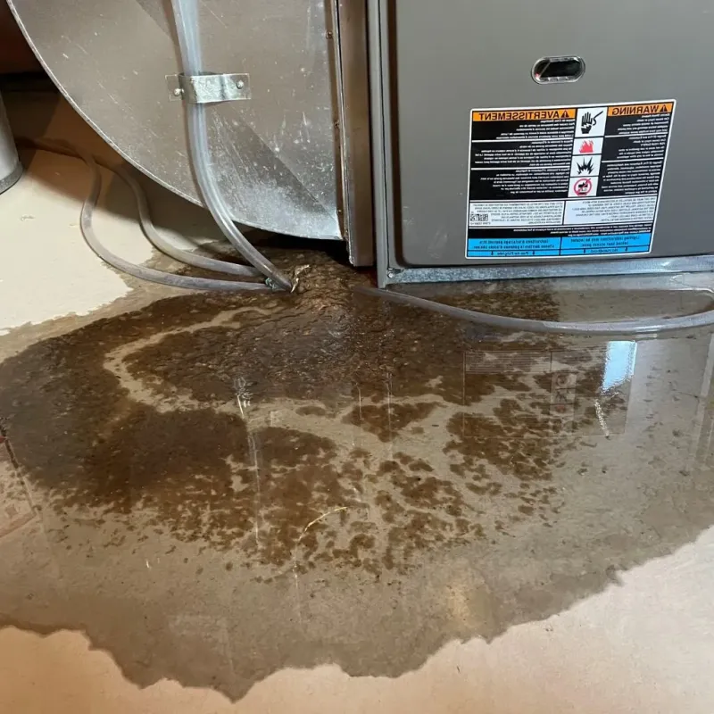 Pipe Burst and Leak Restoration in Jefferson County, OH