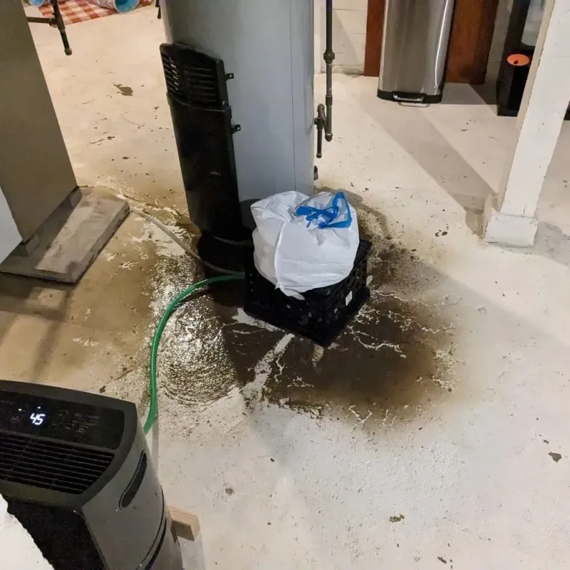 Sewage Backup Cleanup Service in Jefferson County, OH